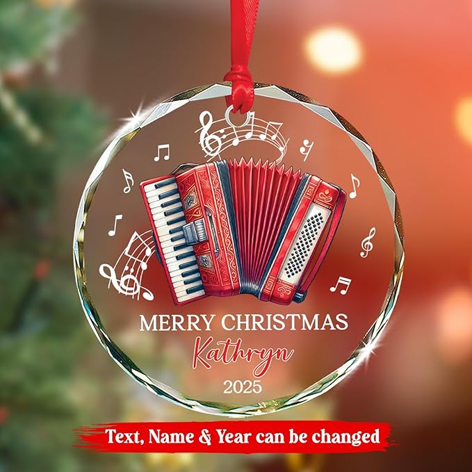 Accordion Lover Christmas Orna - огляд і ціна Musical Instrument With Name