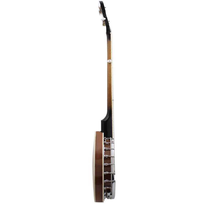 5 String Banjo Western Profess - огляд і ціна Musical Instrument Banjo